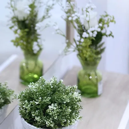 Piso Plaza Mercado 2,3 Apartment