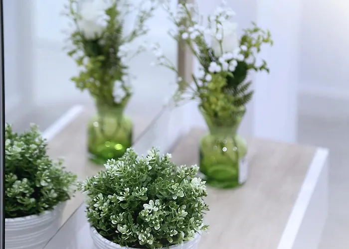 Piso Plaza Mercado 2,3 아파트